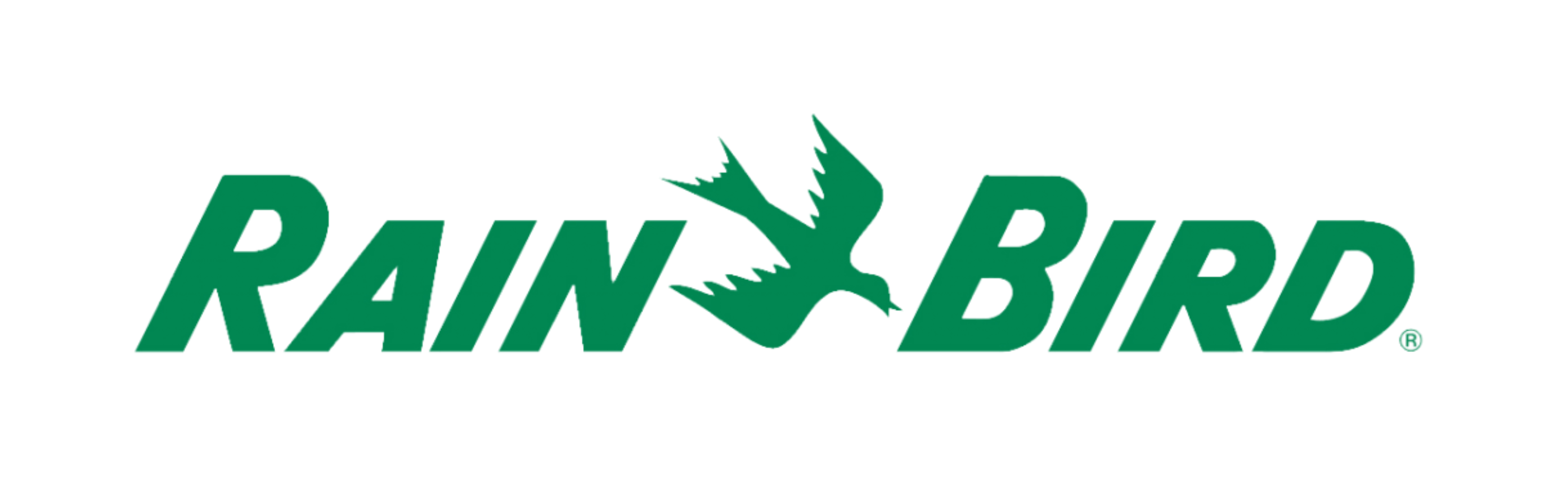 RB RAIN BIRD INTERNATIONAL